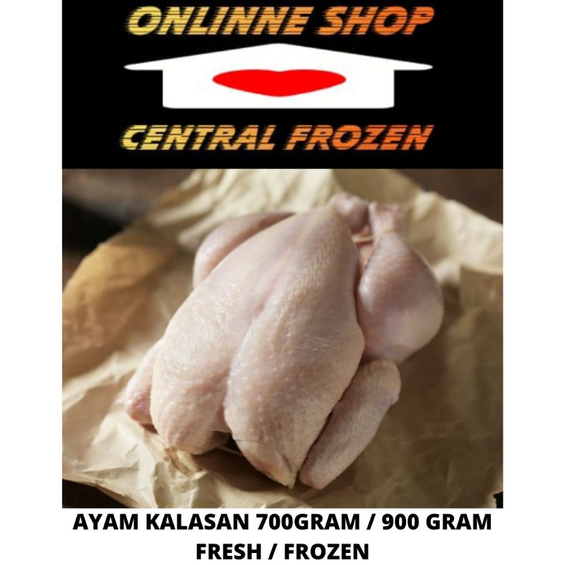 

AYAM KALASAN FRESH / FROZEN UTUH / POTONG BY GOJEK/GRAB/ANTER AJA SAMEDAY