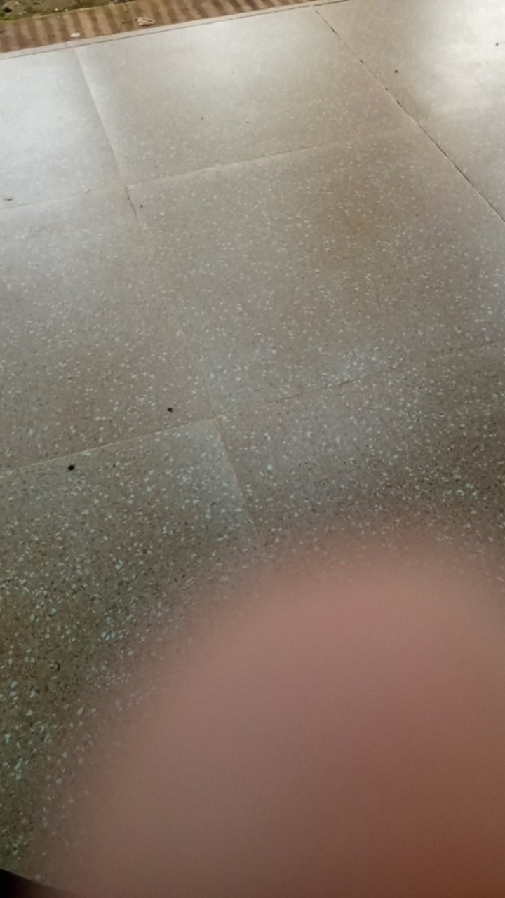 Defran  Kemeja Batik Pria Full Furing Bahan Katun Primisima