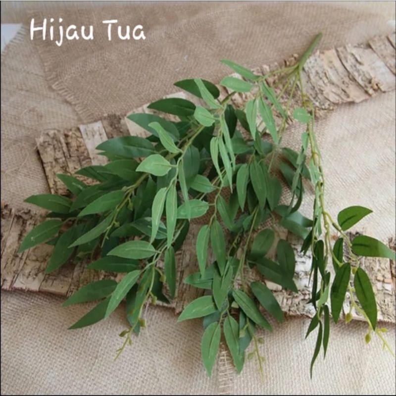 Daun Willow Besar 5 cabang