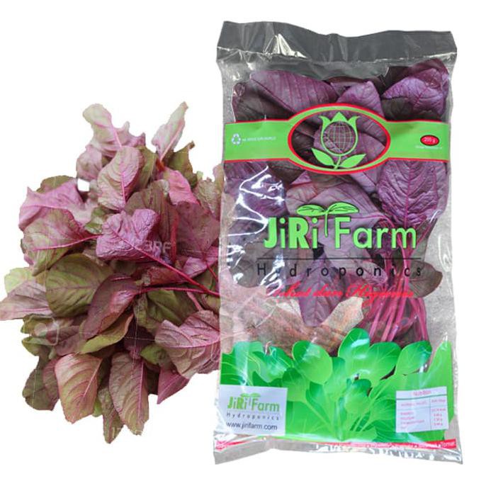 

Bayam Merah 200 Gr Jirifarm / Sayuran Sehat Premium Siap Olah / Masak