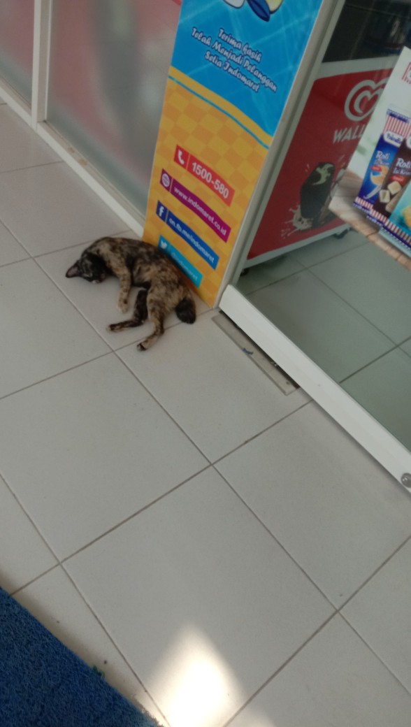 Karet Penjepit Sudut Ujung Sprei Pengait Ujung Sudut Sprei Harga 1 Pcs