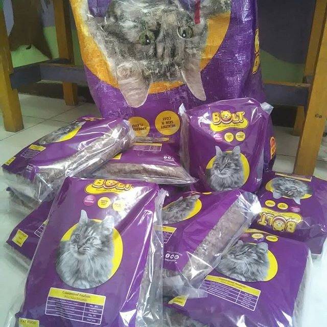 pakan kucing bolt