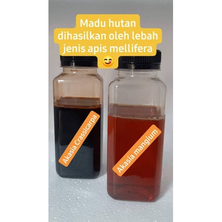 

Madu Mangium Enak berhasiat madu asli