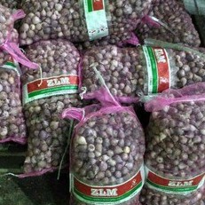 Bawang Lanang Tunggal Super Import Asli  Termurah Terbaik