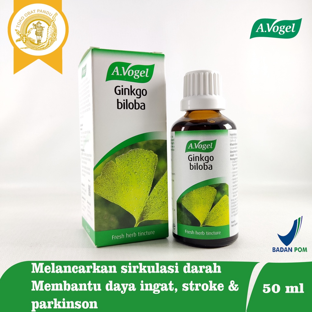 AVOGEL GINKGO BILOBA / OBAT DAYA INGAT
