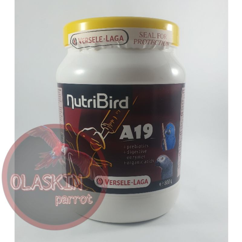 Nutribird A19 800gr bubur pakan burung