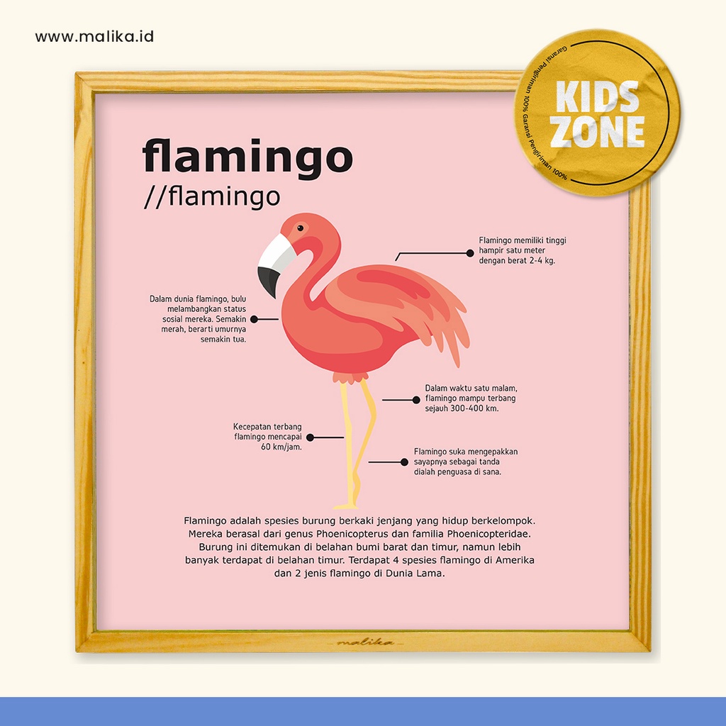 Pajangan Rumah Infografis Flamingo