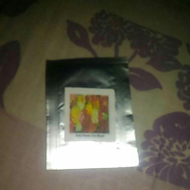 Benih Biji Bunga Antirrhinum Tom Thumb Mixed (very Easy To Grow)