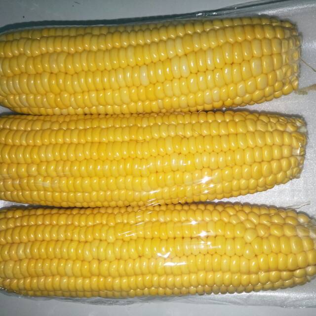 

Jagung manis kupas isi 3