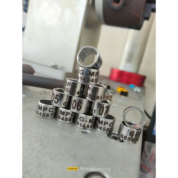 RING BURUNG MERPATI BAHAN BAJA/RING MURAI/RING PUTER/RING BURUNG MURAH