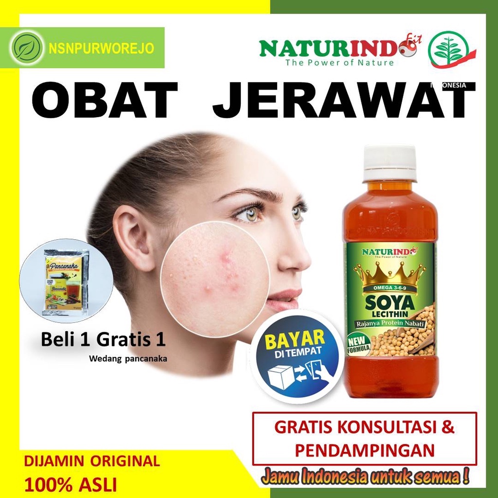 Obat Jerawat Glowing Jerawat Pria Bopeng Komedo Parah Bisul Gatal Herbal Ampuh Omega Soya Naturindo