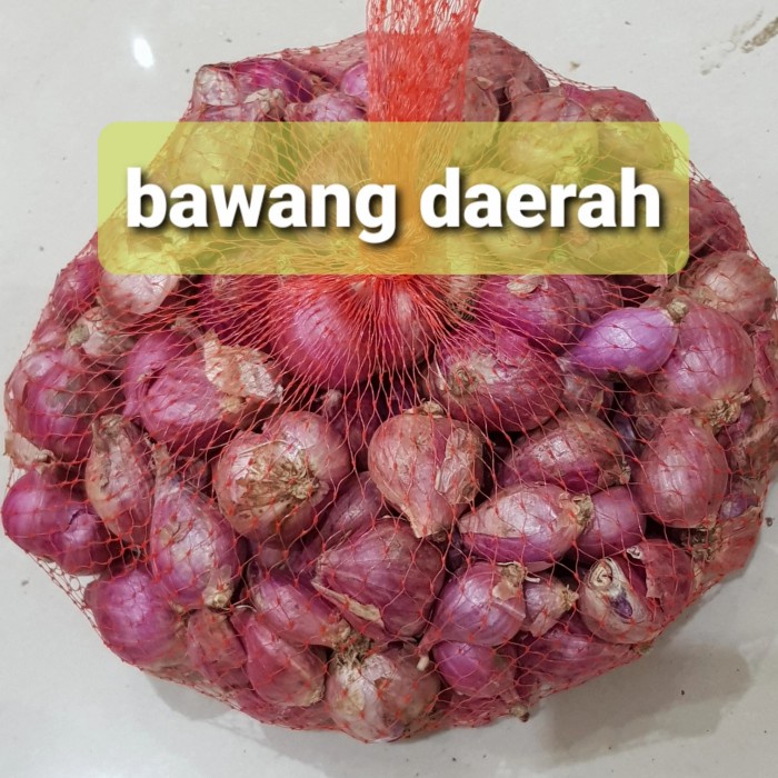 

Fe01Ggg Bawang Merah Brebes Murah 500 Gram - Bawang Brebes F30E1F11