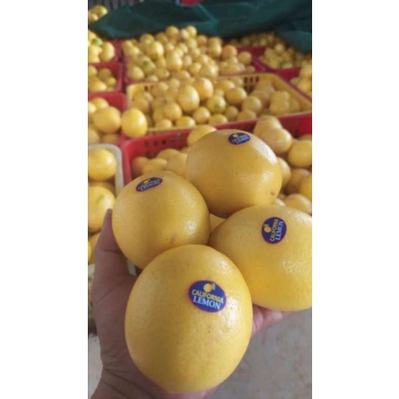 

lemon California import