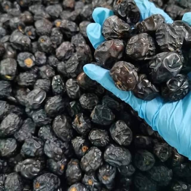 

Kurma ajwa