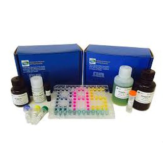 Jual QuantiChrom™ Calcium Assay Kit BIOASSAY DICA-500 | Shopee Indonesia