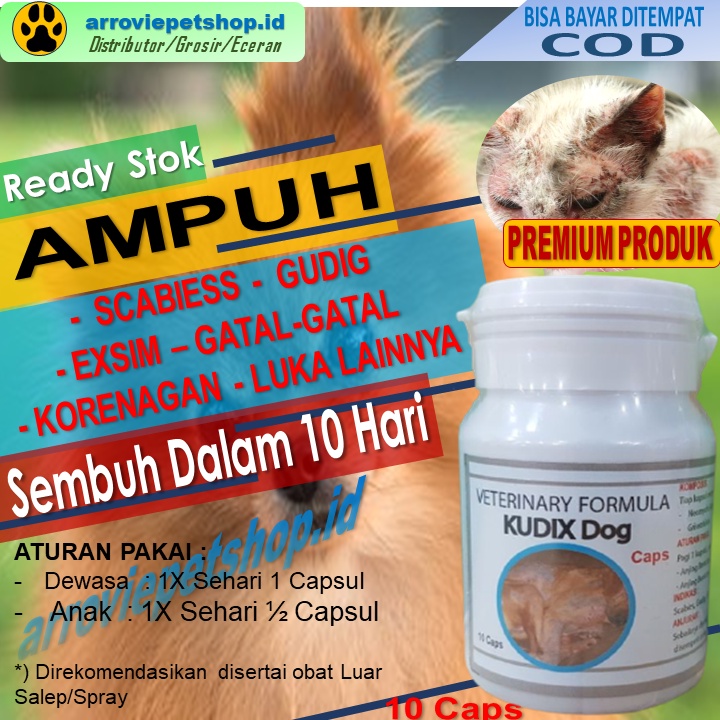 Kudixdog caps obat gatal koreng scabies gudig eksim kulit pada anjing