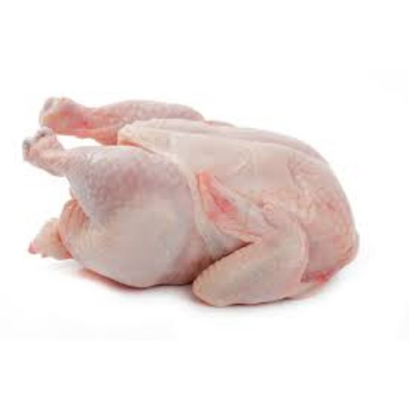 

AYAM karkas