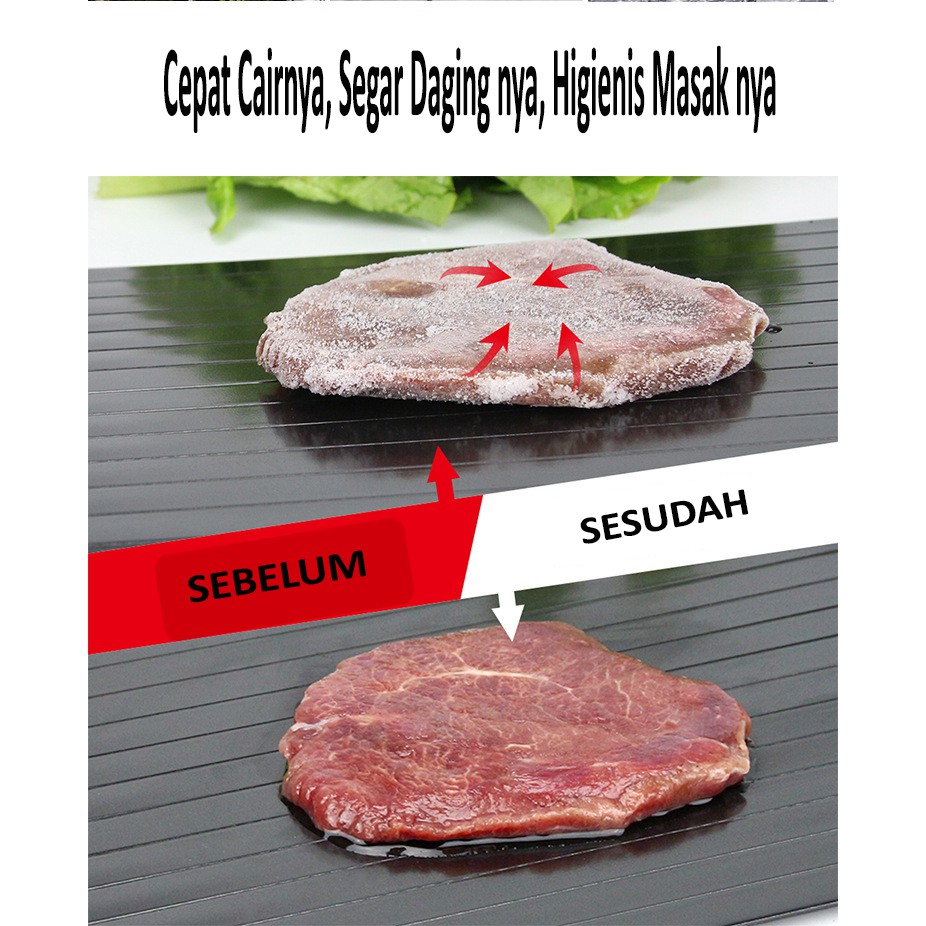 Talenan Pencair Daging Ikan Beku/Alat Pencair Makanan