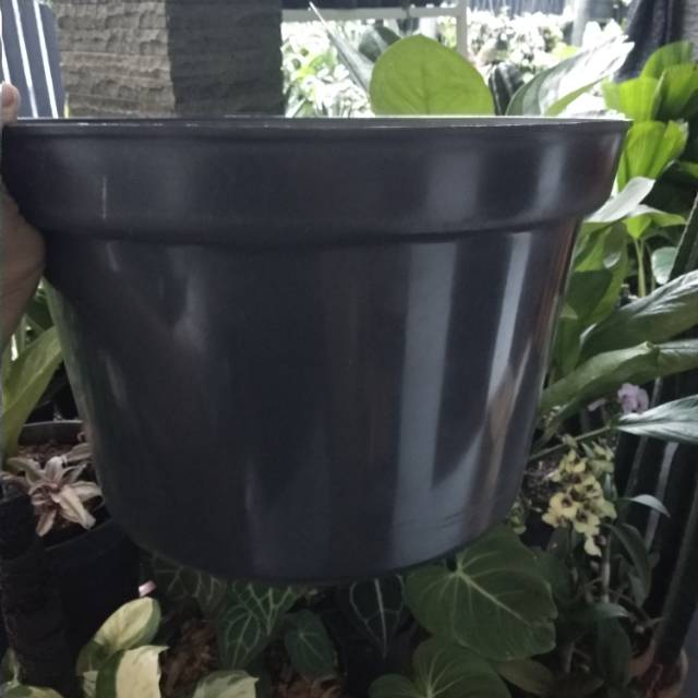 Pot Hitam 35 cm / Pot Hitam Plastik / Pot Tanaman