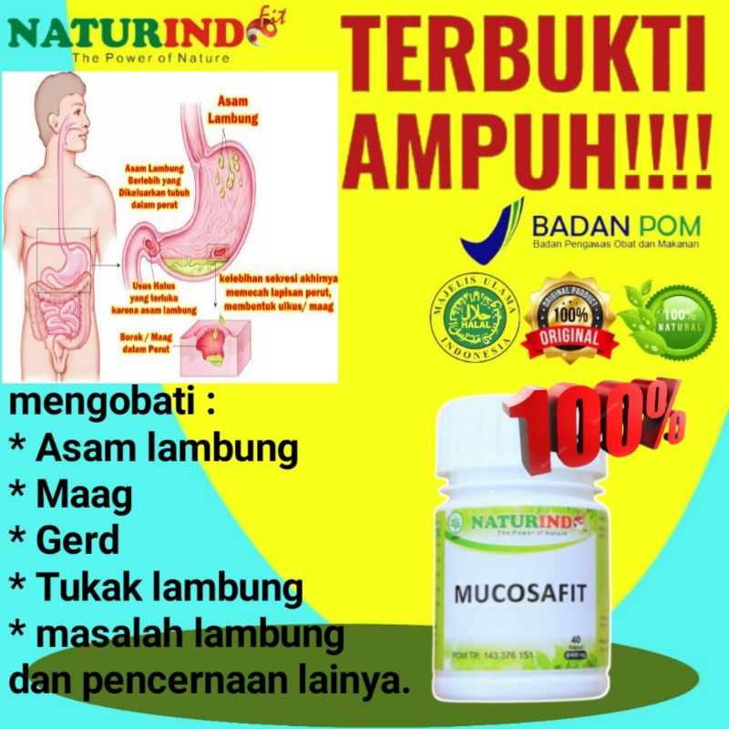 OBAT ASAM LAMBUNG MAAG  lambung kronis nyeri lambung masalah lambung DAN PENCERNAAN BPOM MUI ISI 40 KAPSUL-Ringan