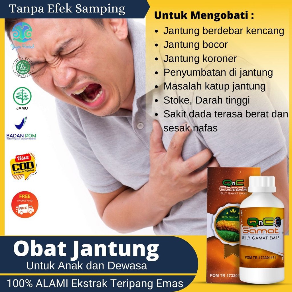 Jual Qnc Jelly Gamat Obat Jantung Berdebar Kencang 100 Alami Atasi