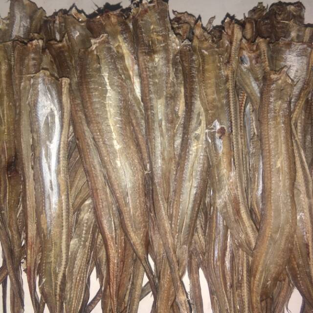 

Ikan tawar belut laut /ikan kering belut 500gram