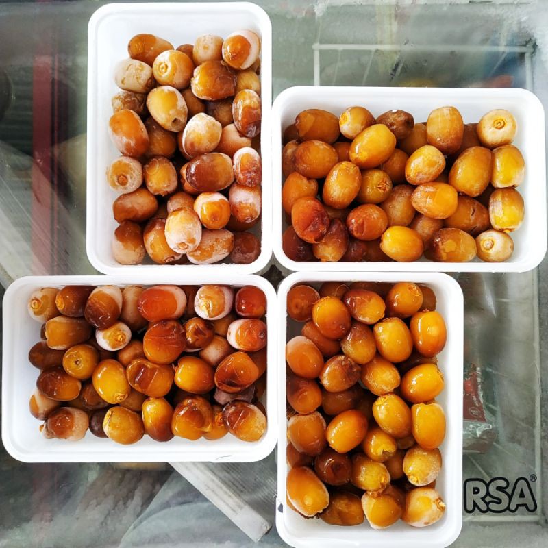 KURMA RUTHOB ROTANA rutob kurma muda kurma segar 800grm