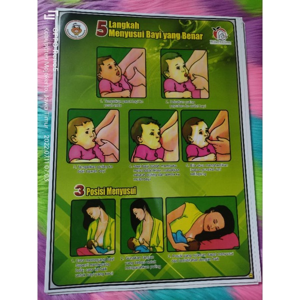 

Poster 5 Langkaah Menyusui Bayi Yg Benar Dan Banyak Poster Lengkap Lainnya