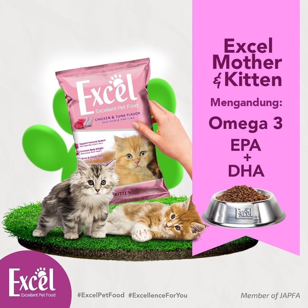 Makanan Kucing Murah Excel Untuk Mother Dan Kitten Ibu dan Anak Kucing FEZONE