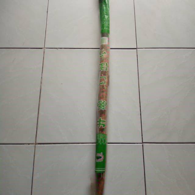 

Tanaman Tumbuhan Sayur Umbi Ketela Jepang Gobo Burdock Burdoch Dhubard