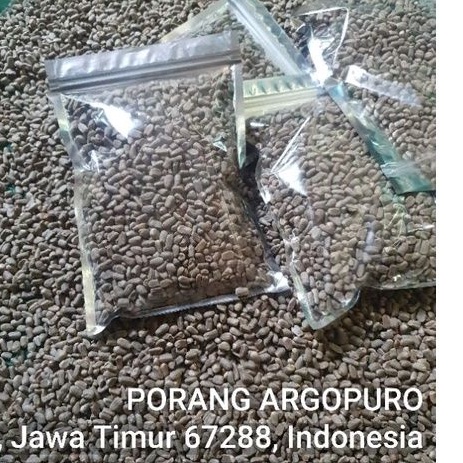 Biji spora porang [1KG] spora porang berkualitas termurah (COD)