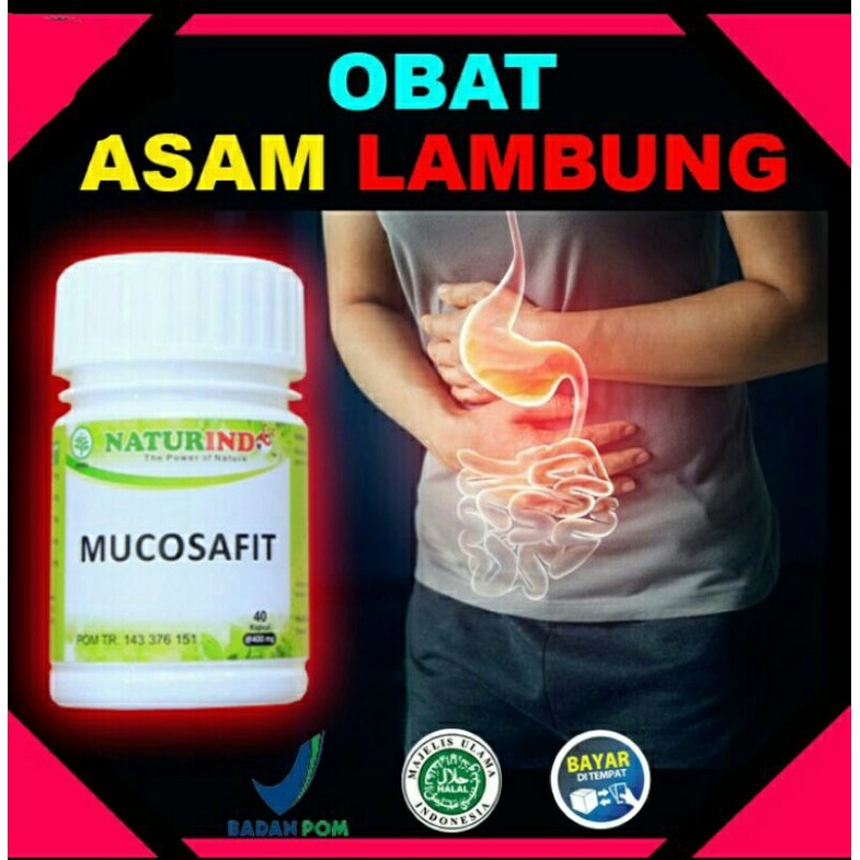 

Obat Herbal Untuk Mengatasi Keluhan Mual,Muntah,Perih,Kembung,Masuk Angin & Asam Lambung Naik(Gerd)