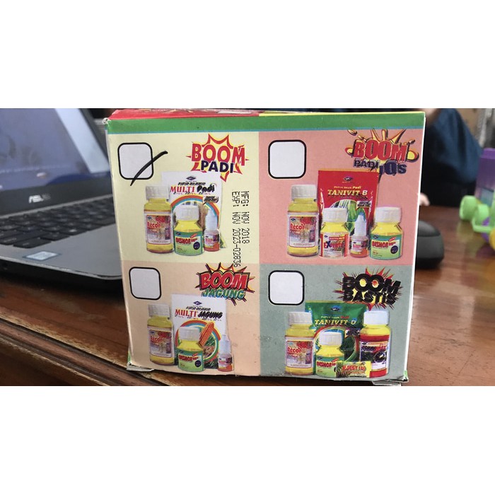 Boom Padi Cap Kapal Terbang TANINDO