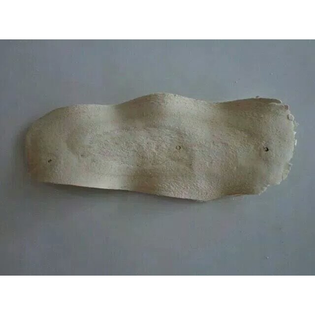 

10 G 50 GR 100 GRAM GAN GE GEN 干葛根片 RADIX PUERARIAE PUERARIA KUDZU LOBED KUDZUVINE ROOT