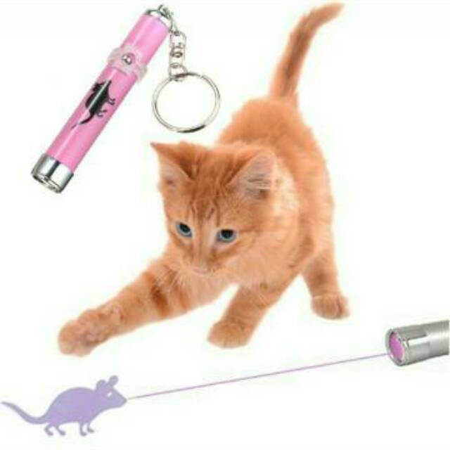 LAMPU LASER KARAKTER / aksesoris kucing anjing / mainan / hewan / pet / cat dog / nyala / toys