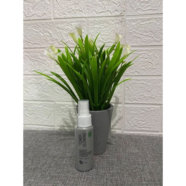 Toner MS GLOW ORI