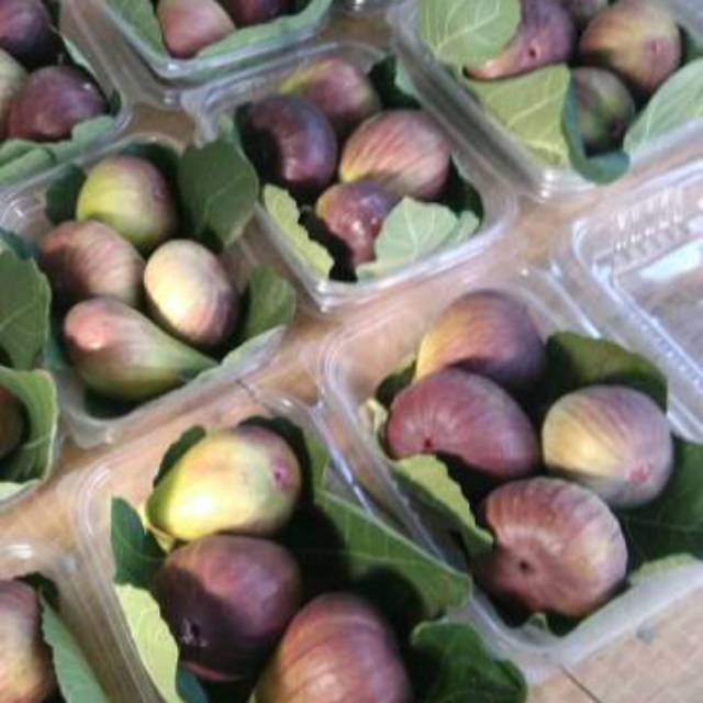 

buah tin fig ara segar 500gr