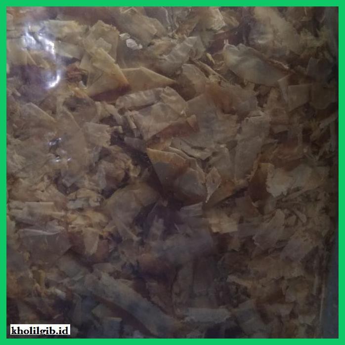 

gnidderdsaus- katsubushi -asliiiiii.