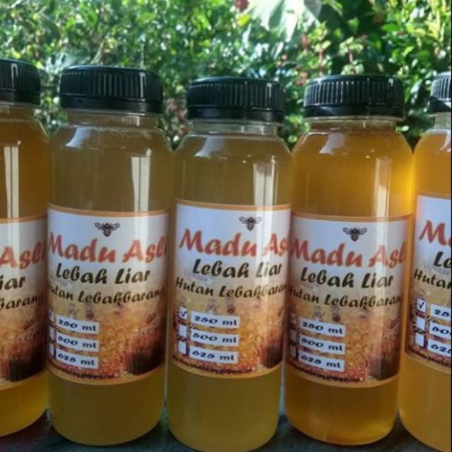 

KOLEBA | Madu Liar Hutan Pekalongan (desa lebakbarang)