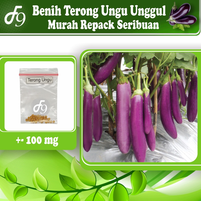 Benih Terong Ungu Murah Repack Seribuan