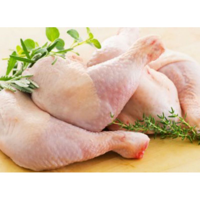 

paha utuh ayam / paha ayam segar / daging ayam