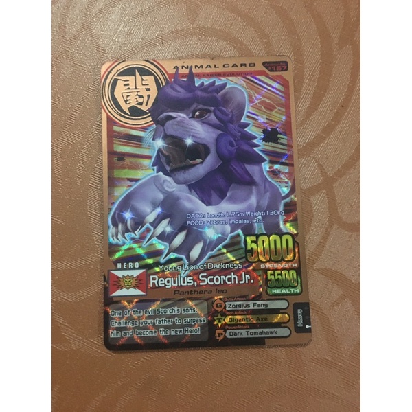 Animal Kaiser Bronze Regulus Scorch Jr Original