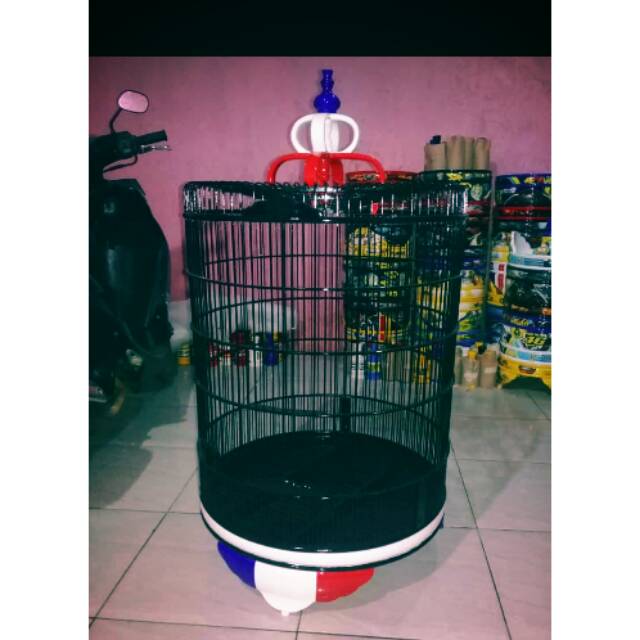 Sangkar Murai Jati Shopee Indonesia