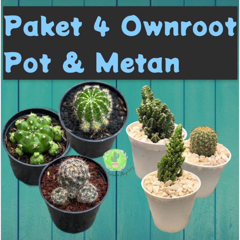 Paket 4 Ownroot Pot + Metan