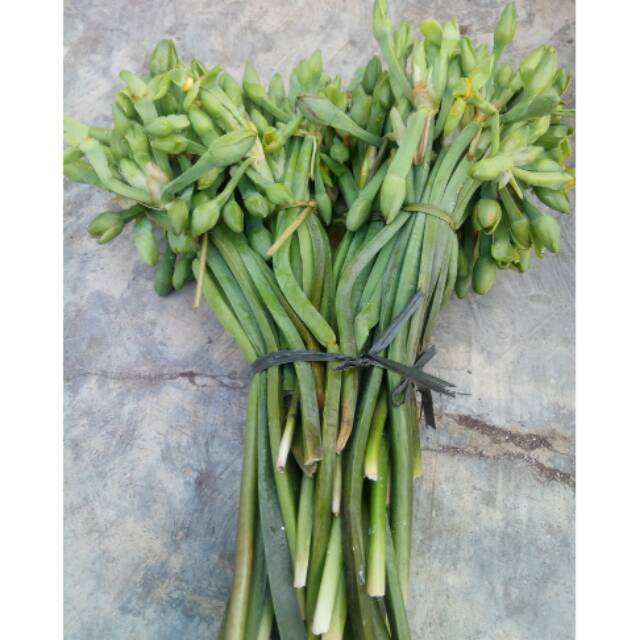 

Genjer dan Selada air