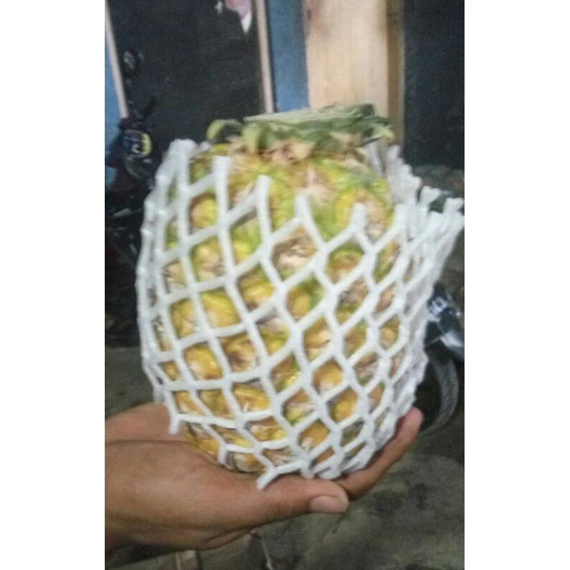 

Nanas sunpride fresh 1 buah