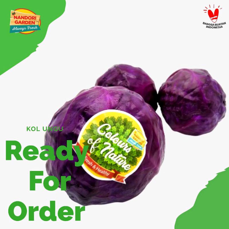 

Nandori Garden Kol Ungu Super 500 Gram