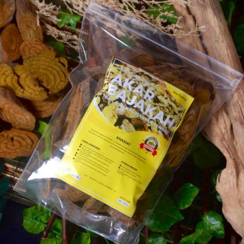 

Kayu Akar Bajakah Kuning, Liver, Diabetes, Stamina Pria Siap seduh Asli kalimantan 100% Original