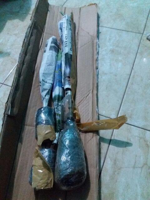 Tanaman Anggur Merah