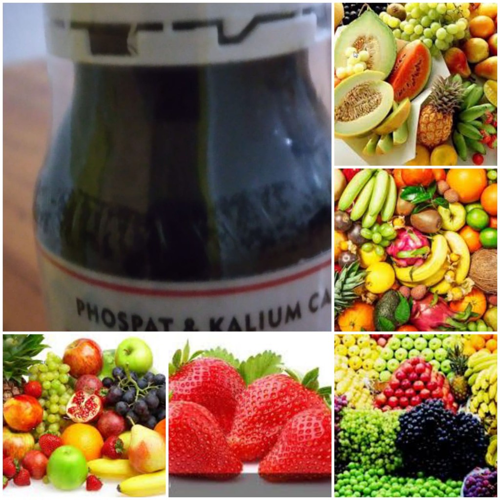 ZPT Pupuk Pembesar Buah Phosphat Bio Kalium